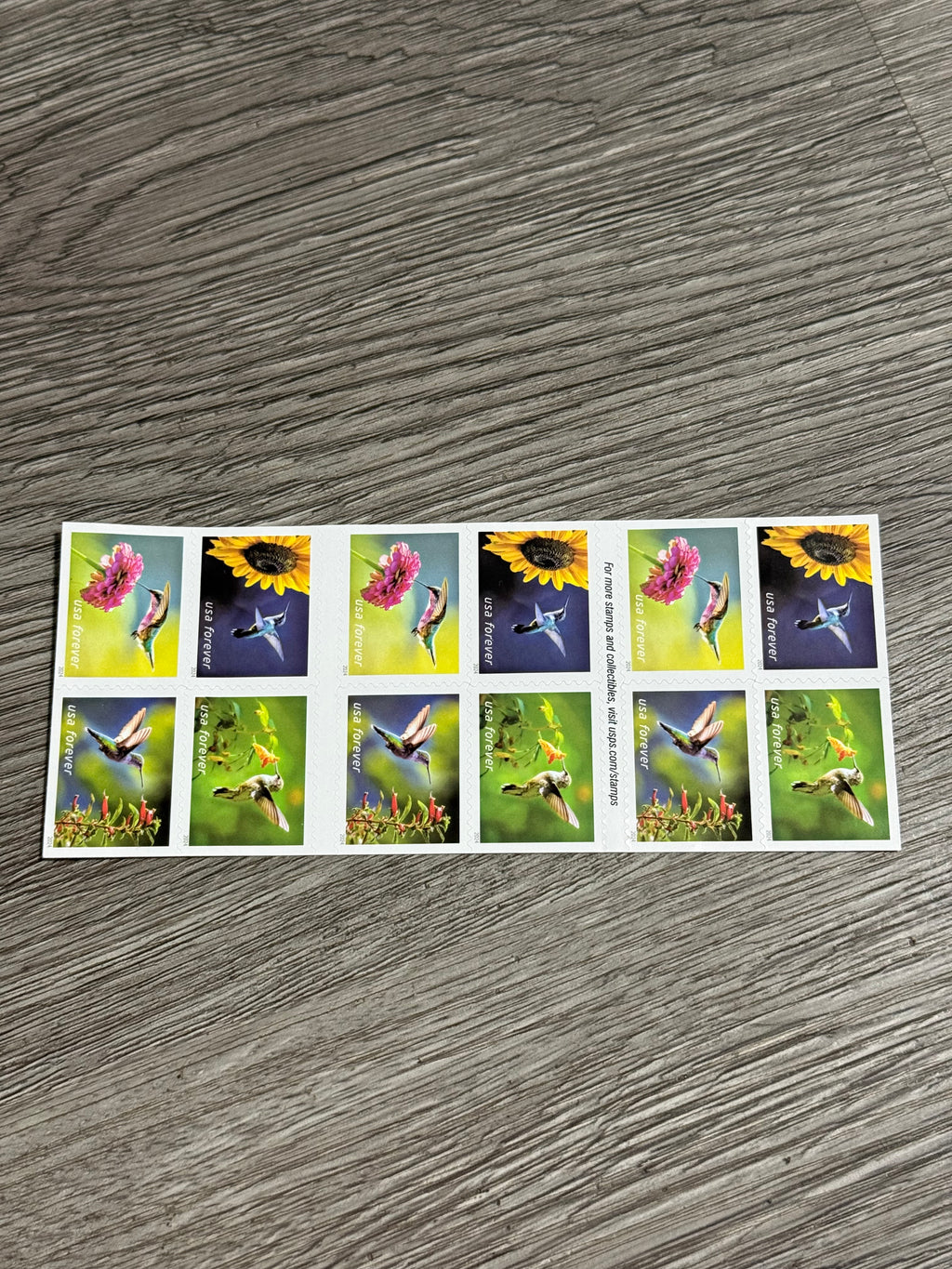 2024 Garden Delights