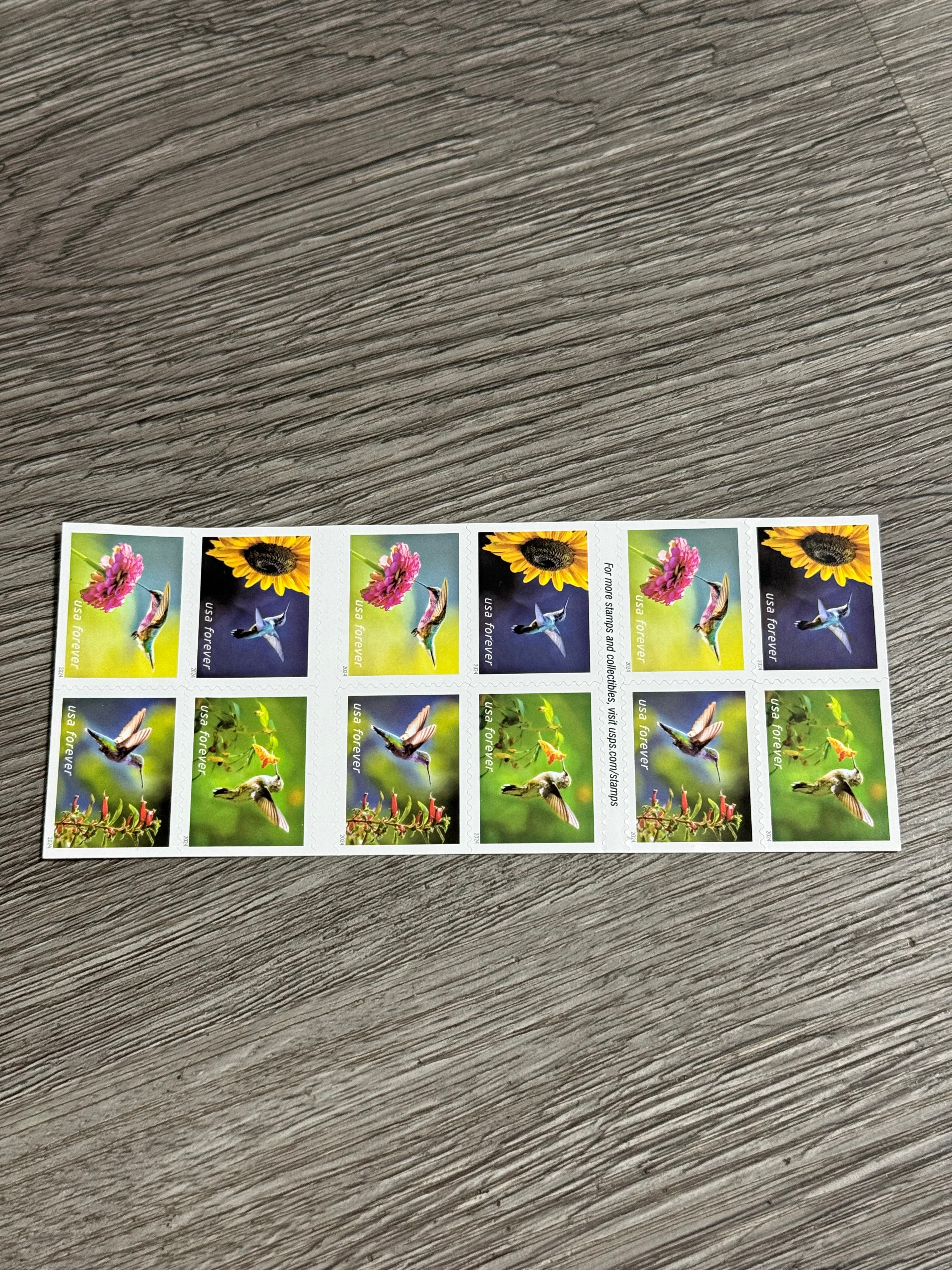 2024 Garden Delights