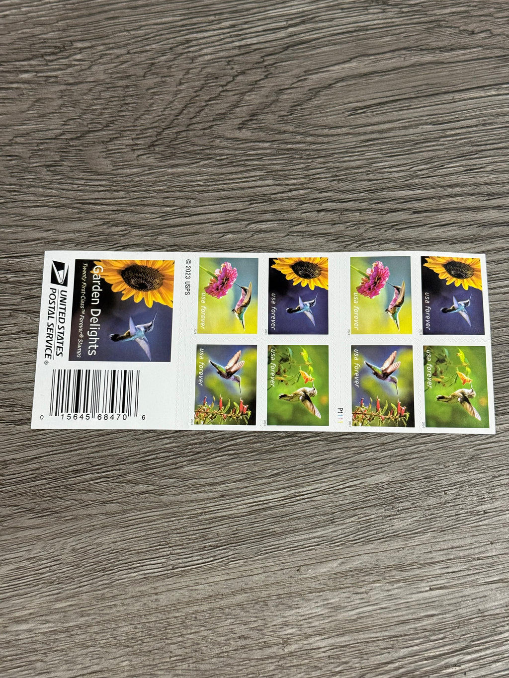2024 Garden Delights