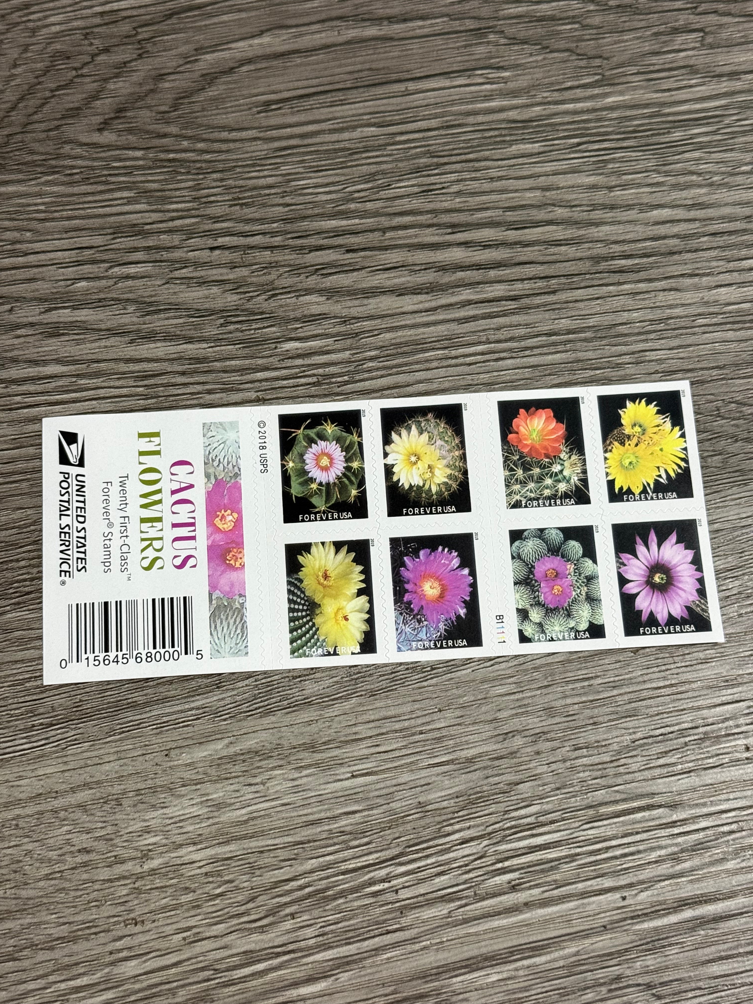2019 Cactus Flowers