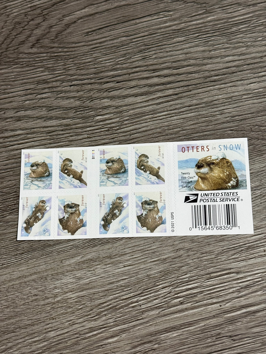 2021 Otter in Water