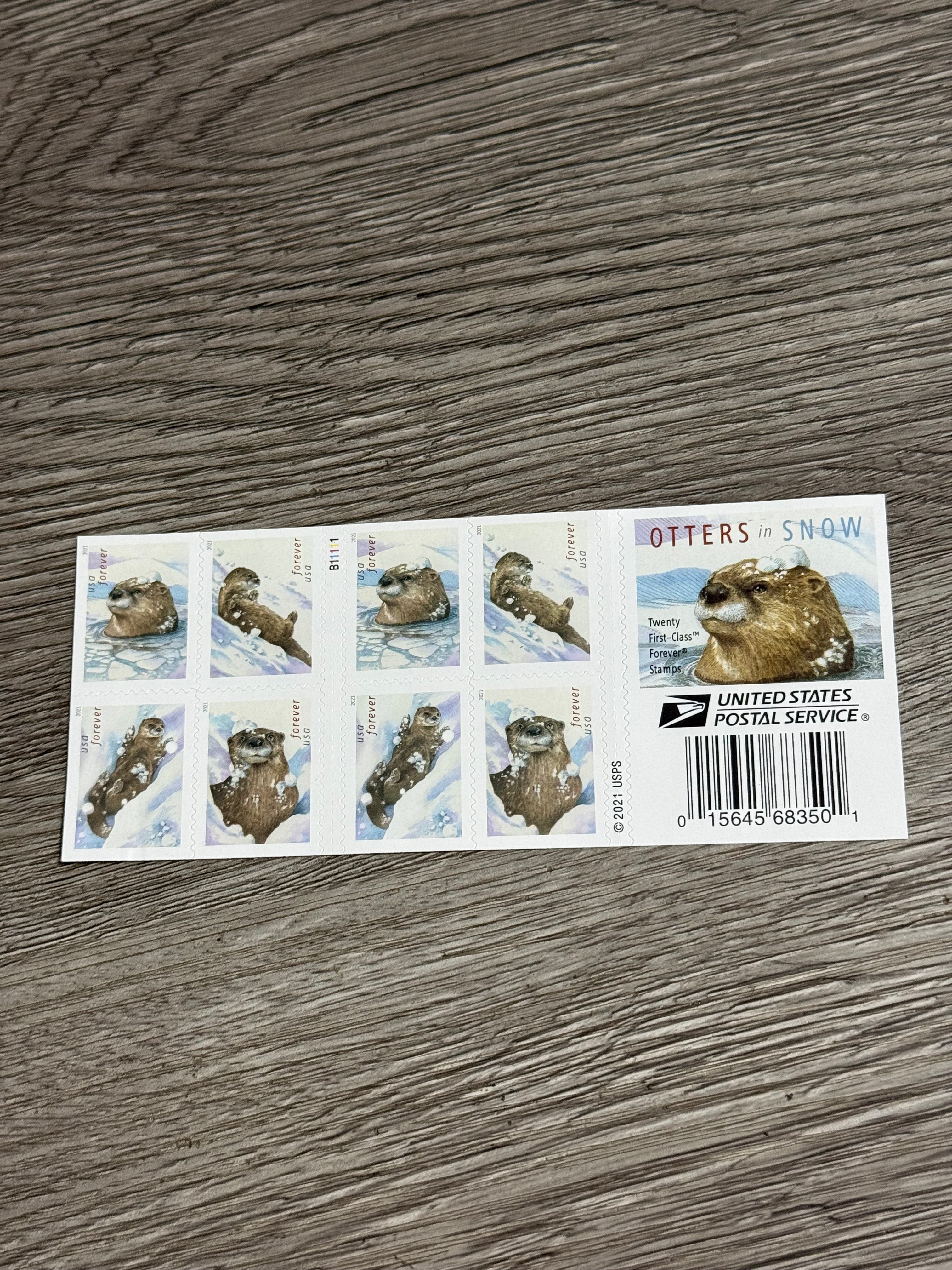 2021 Otter in Water